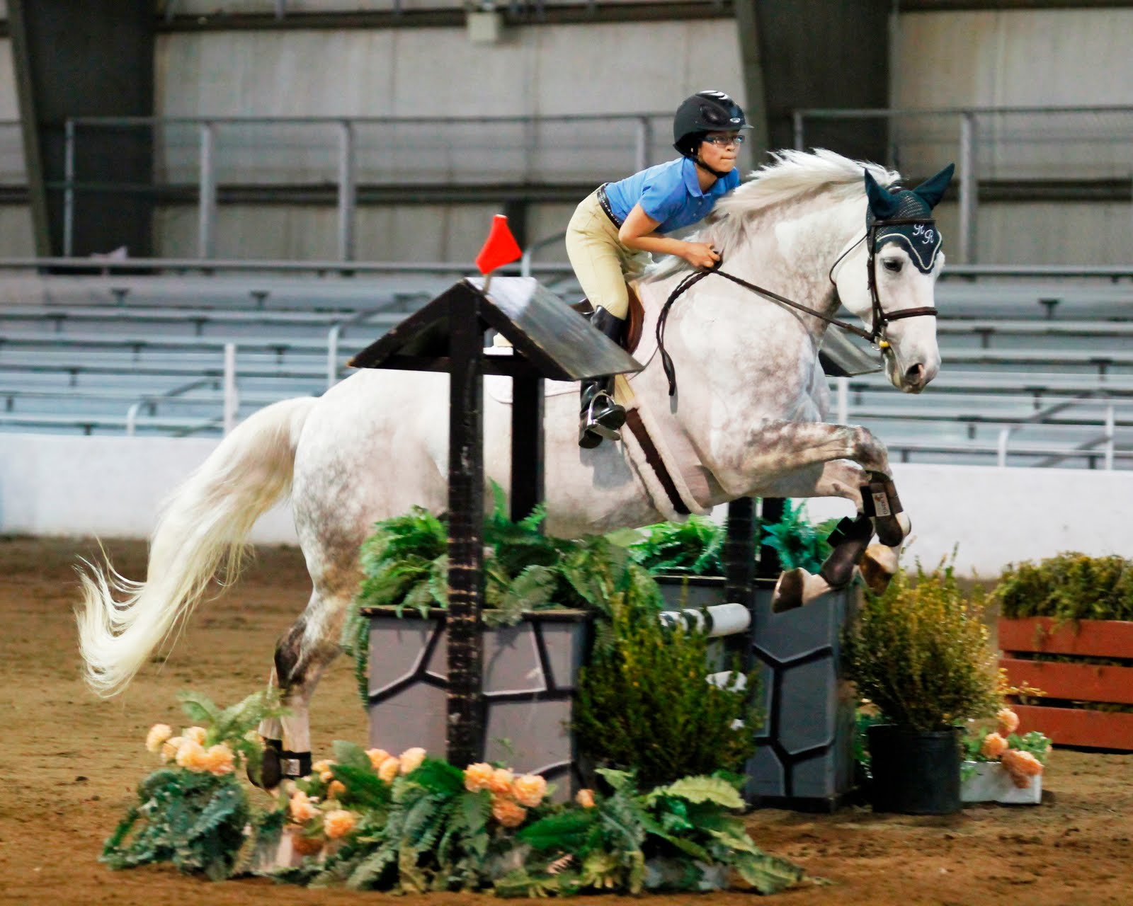 my horse and me demo